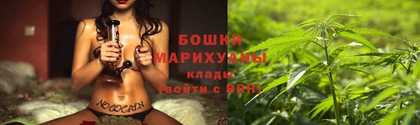 сатива Вязники