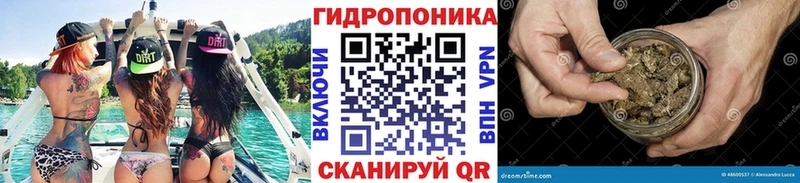 Канабис ГИДРОПОН  даркнет сайт  Снежинск 